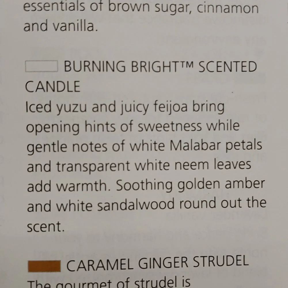 BURNING BRIGHT Emerge candle from Gold Canyon 7.5‎ oz